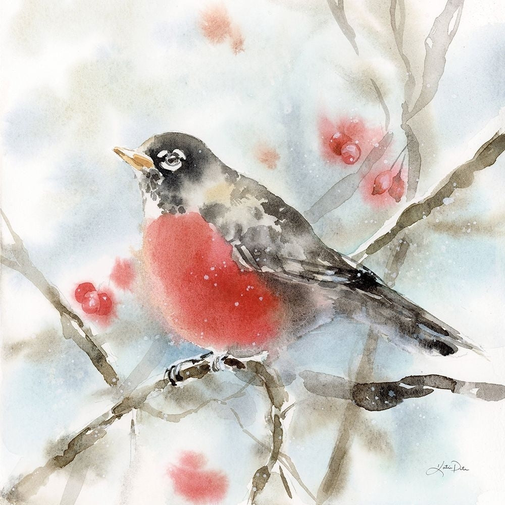 Winter Robin Poster Print - Katrina Pete-VARPDX75733 Image 1