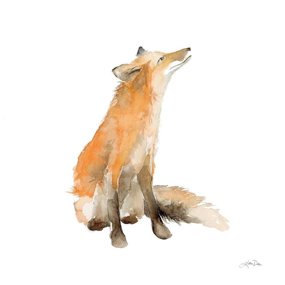 Dreaming Fox on White Poster Print - Katrina Pete-VARPDX77222 Image 1