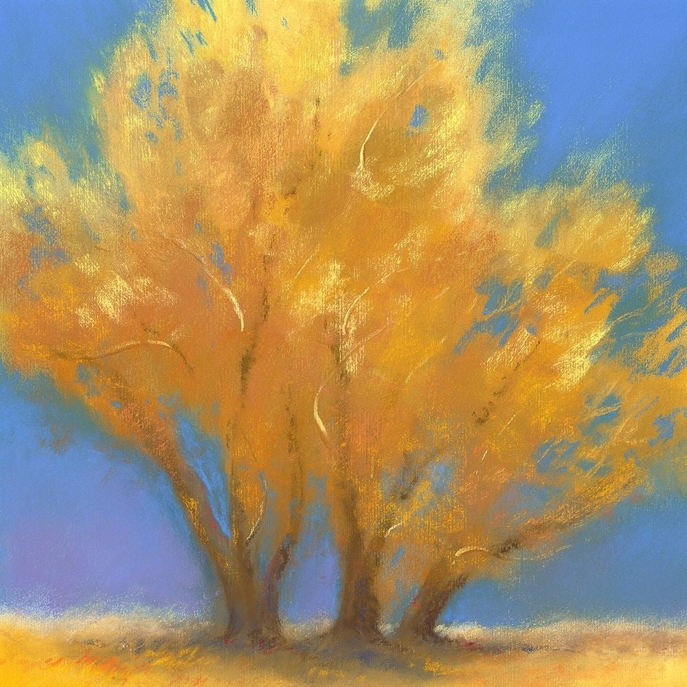 Fall Cottonwoods Poster Print - Teri Jonas-VARPDX78790 Image 1