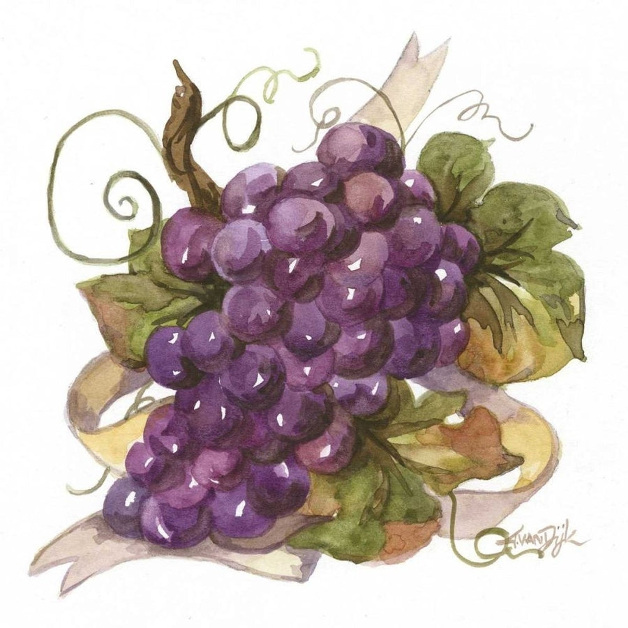 Watercolor Grapes I Poster Print - Dijk Jerianne Van-VARPDX78753D Image 1