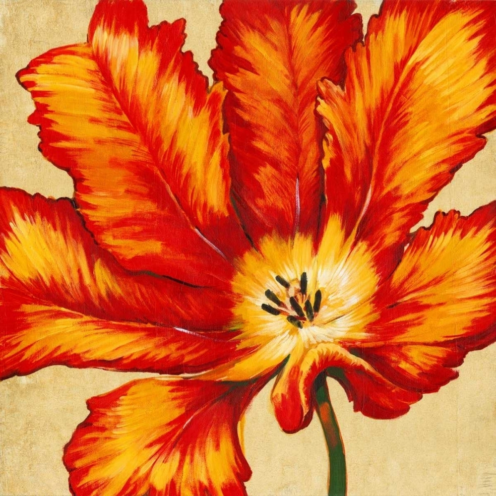 Parrot Tulip II Poster Print - Tim OToole-VARPDX79255GG Image 1