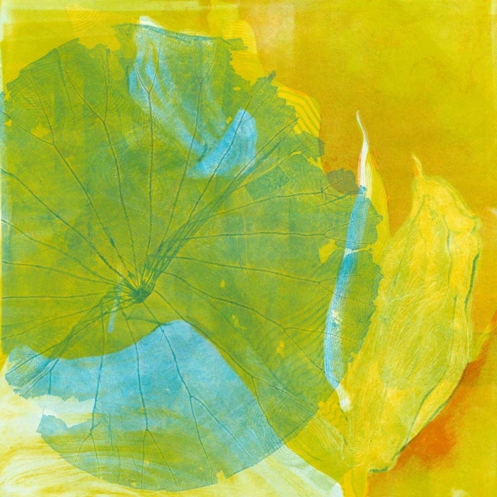 Lotus Monotype I Poster Print - Carolyn Roth-VARPDX79952GG Image 1