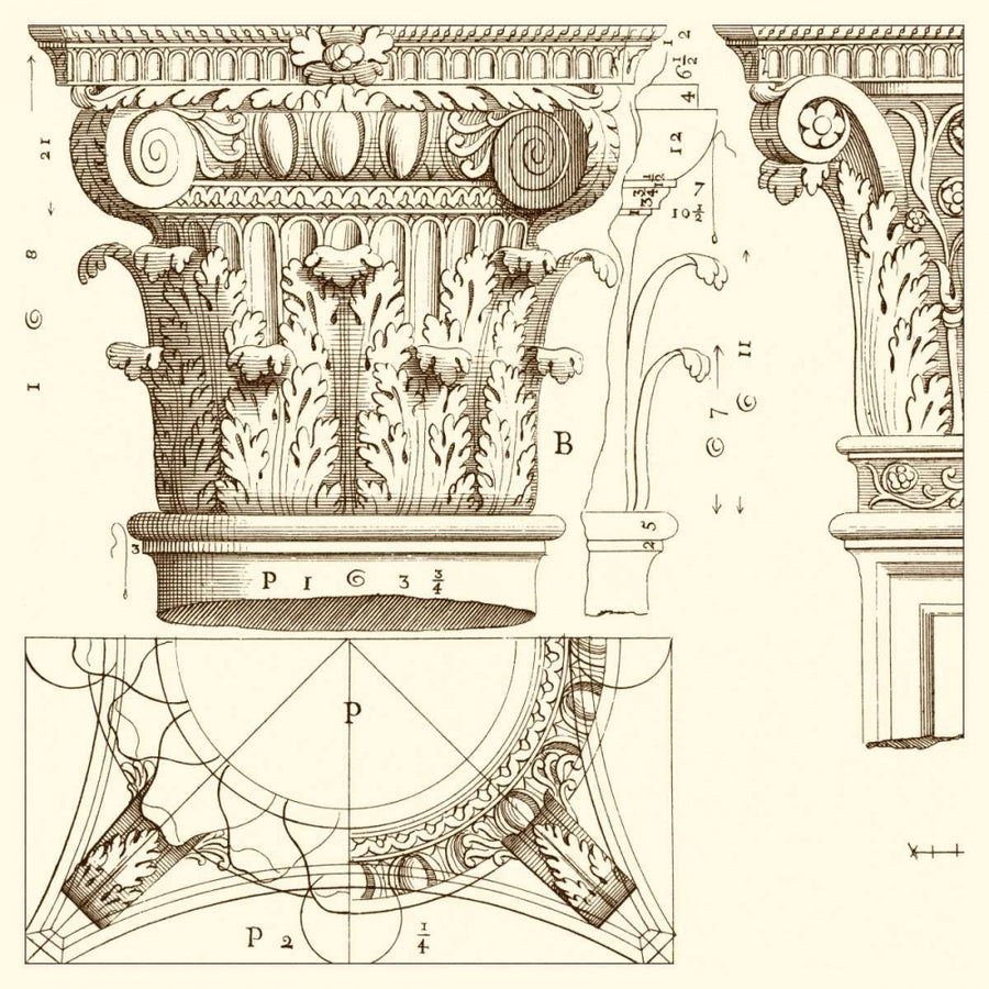 Corinthian Detail III Poster Print - Studio Vision-VARPDX82412Z Image 1