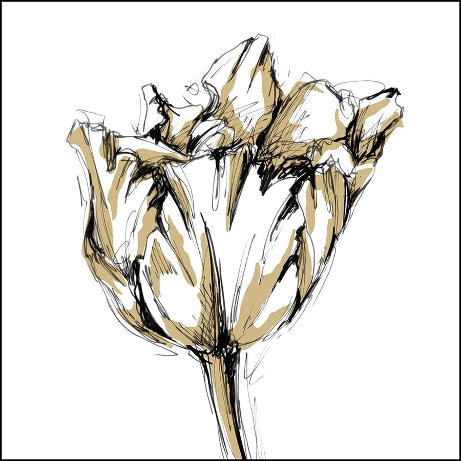 Tulip Sketch I Poster Print - Ethan Harper-VARPDX86161Z Image 1