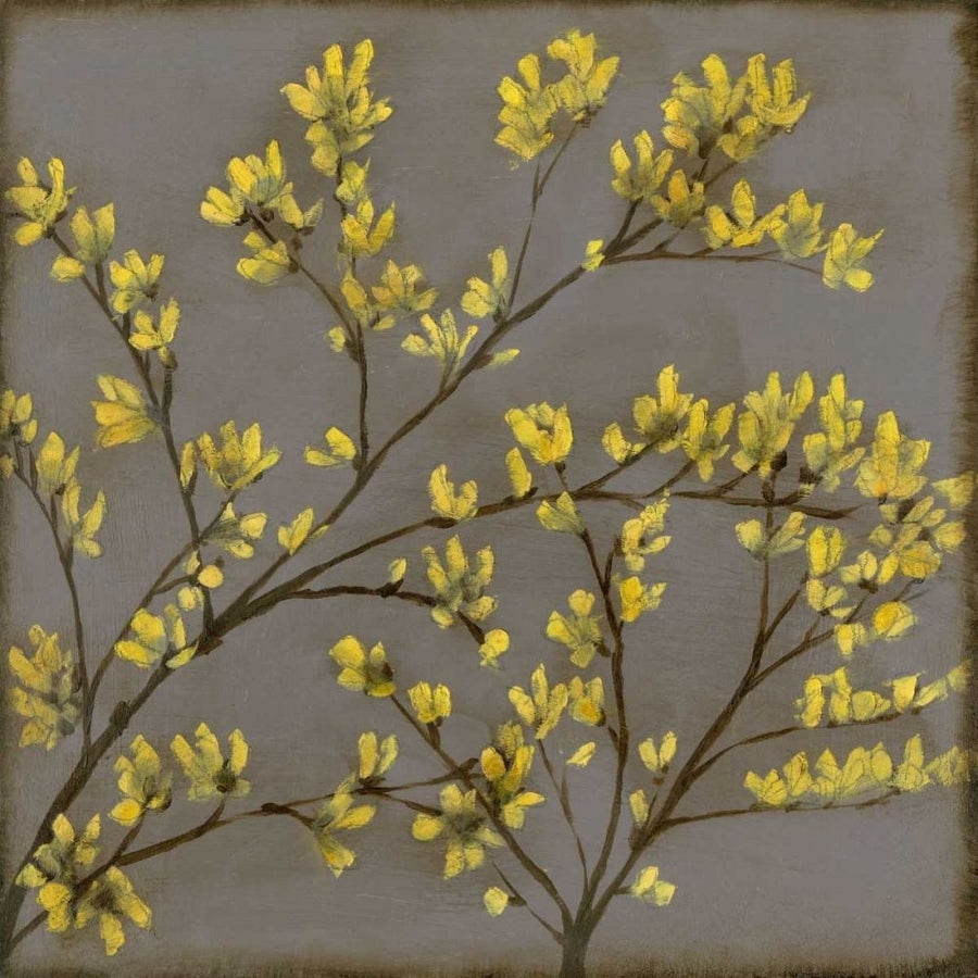 Forsythia I Poster Print - Jennifer Goldberger-VARPDX87793FN Image 1