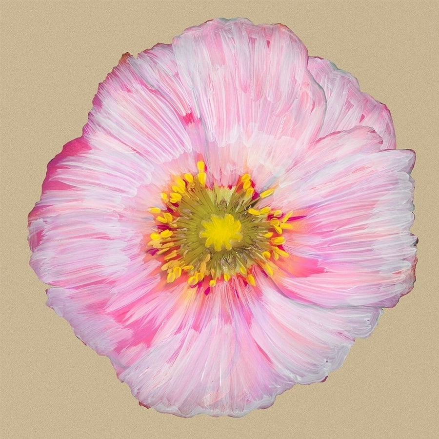 Poppy Blossom III Poster Print - Alicia Ludwig-VARPDX88449Z Image 1