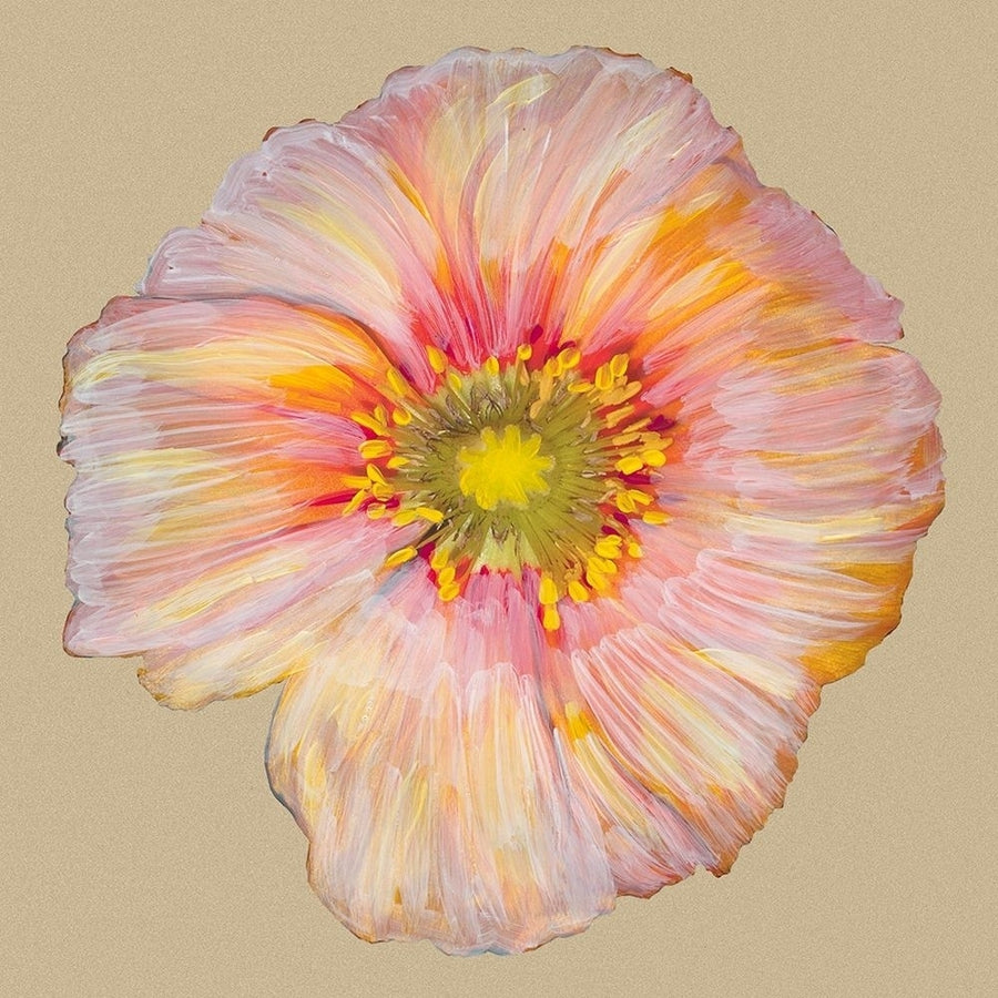 Poppy Blossom I Poster Print - Alicia Ludwig-VARPDX88447Z Image 1