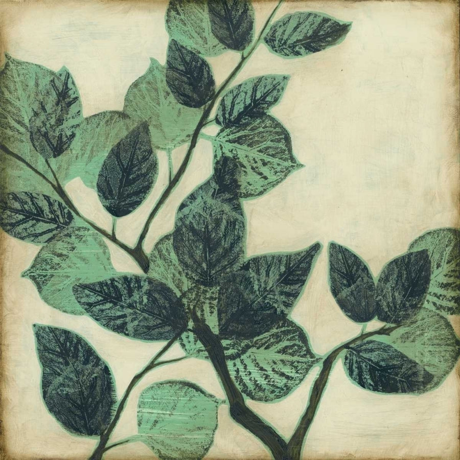 Graphic Leaves II Poster Print - Jennifer Goldberger-VARPDX90111Z Image 1