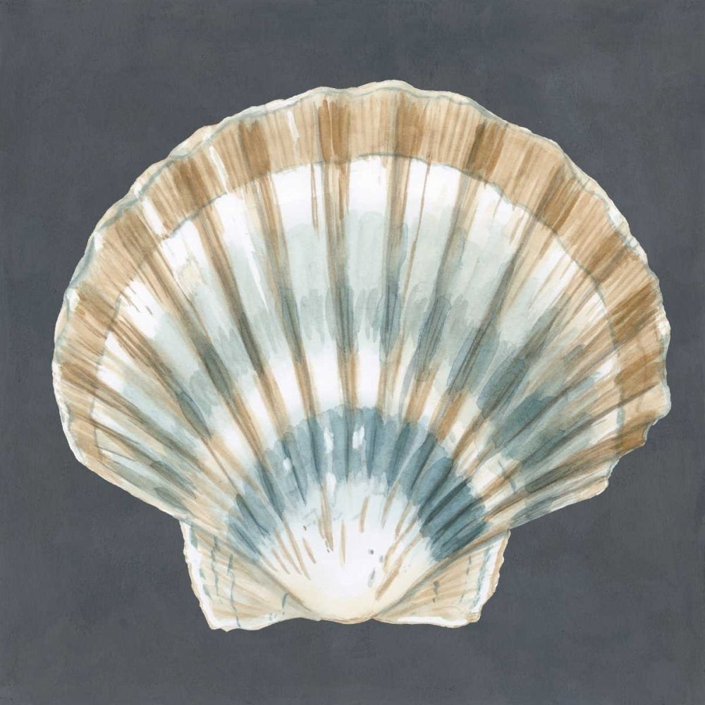 Shell on Slate III Poster Print - Megan Meagher-VARPDX90597Z Image 1