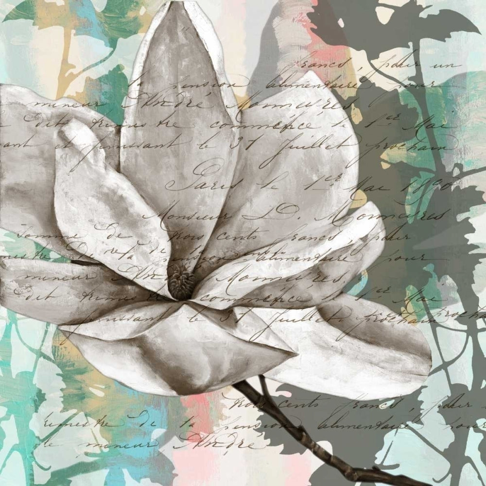 Pastel Magnolias II Poster Print - Jennifer Goldberger-VARPDX92851Z Image 1