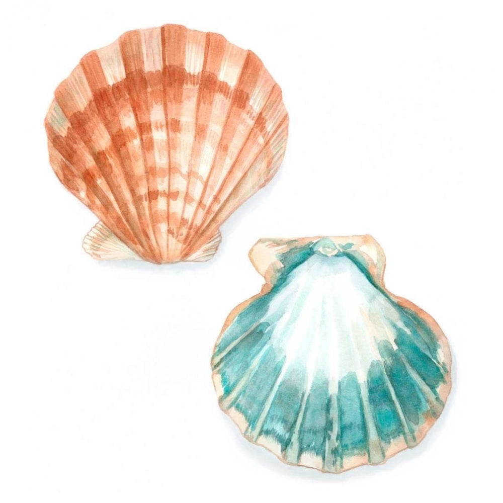 Watercolor Shells I Poster Print - Megan Meagher-VARPDX93551Z Image 1