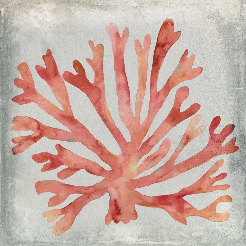 Watercolor Coral III Poster Print - Megan Meagher-VARPDX93562Z Image 1