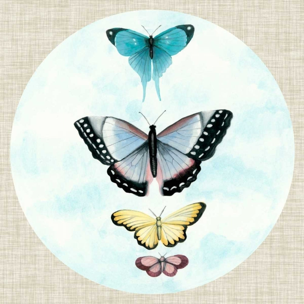 Butterfly Daydream II Poster Print - Naomi McCavitt-VARPDX94414Z Image 1