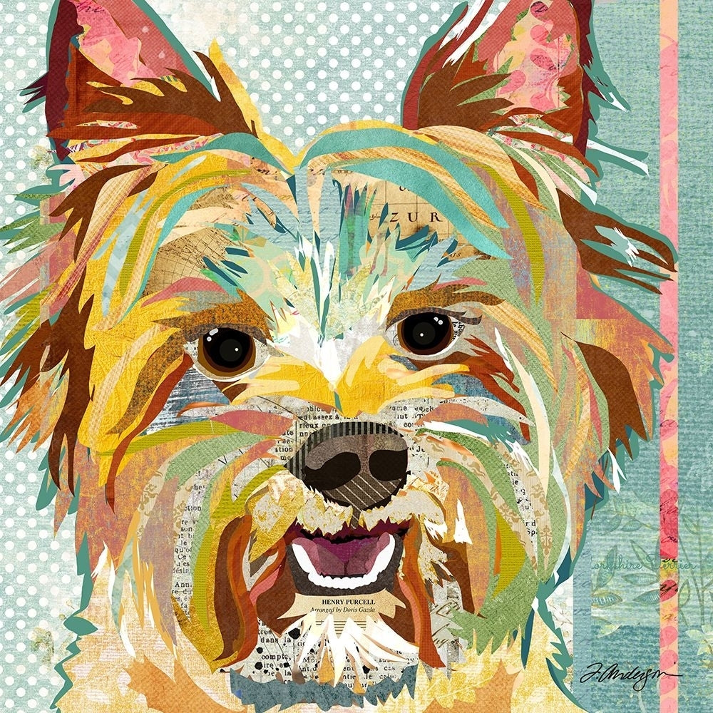 Yorkie Poster Print - Traci Anderson-VARPDXA777D Image 1