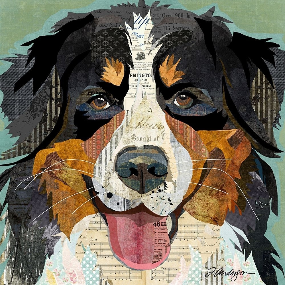 Bernese Poster Print - Traci Anderson-VARPDXA761D Image 1