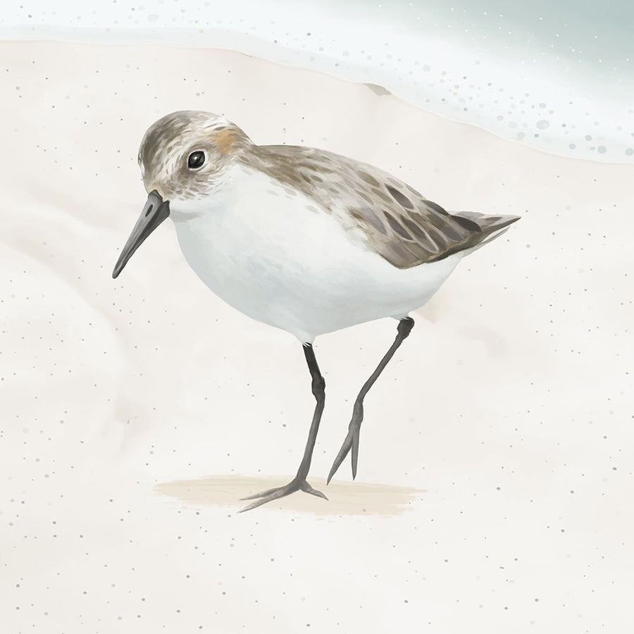 Sandpiper on the Beach II Poster Print - Lucca Sheppard-VARPDX18064B Image 1