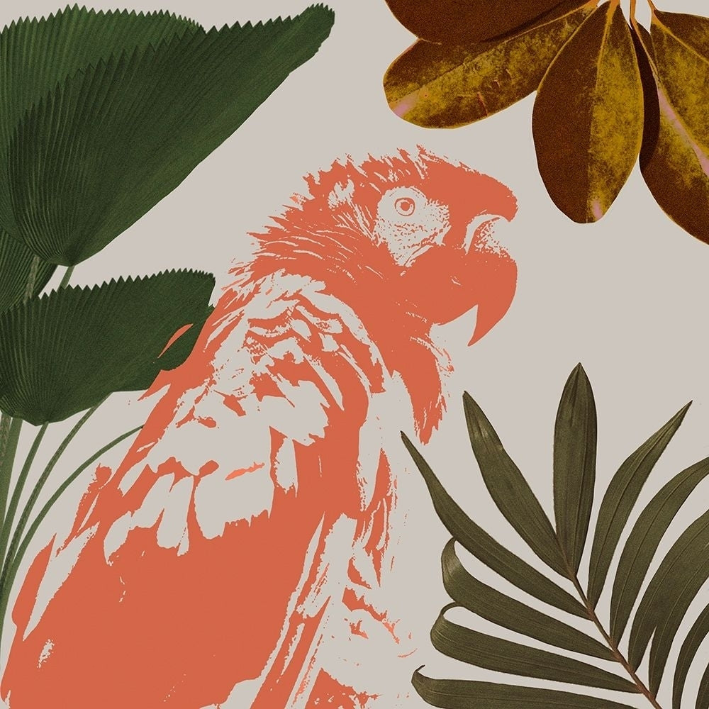 Graphic Tropical Bird I Poster Print - Annie Warren-VARPDX181541Z Image 1