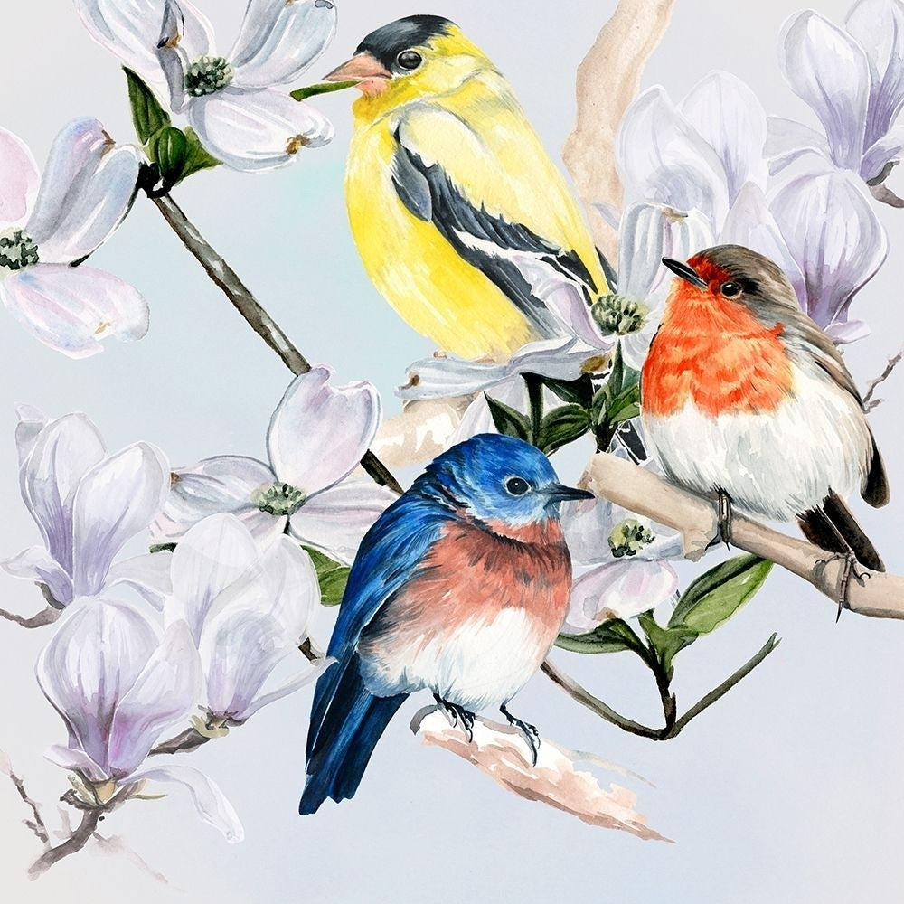 Four Little Birds II Poster Print - Jennifer Paxton Parker-VARPDX181890Z Image 1