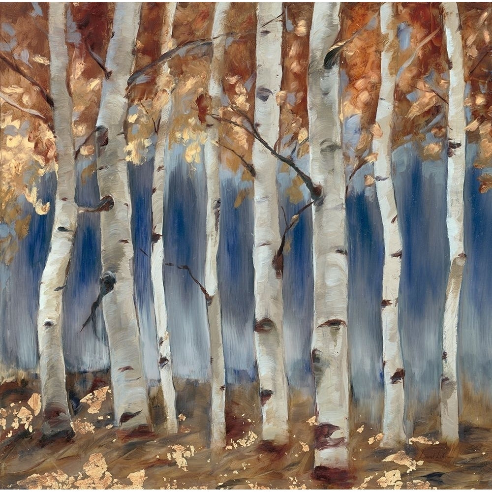 Copper and Blue Birch Trees Square 1 Poster Print by Laurel Lehman-VARPDX181LEH1172A Image 1