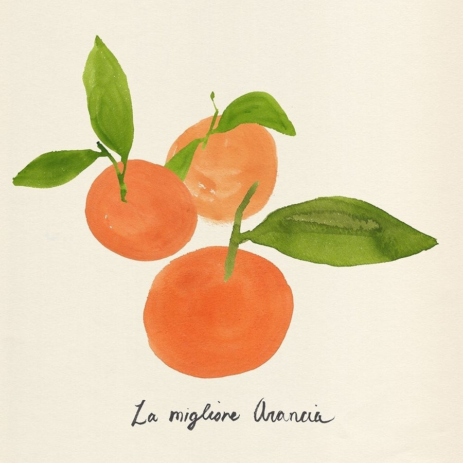 Citrus Trattare II Poster Print - Annie Warren-VARPDX182812Z Image 1