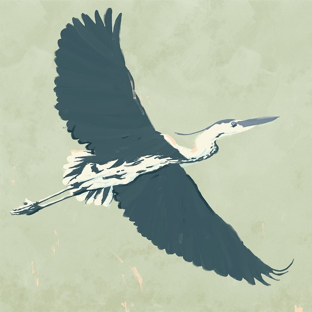 Heron Flying I Poster Print - Jacob Green-VARPDX185872Z Image 1