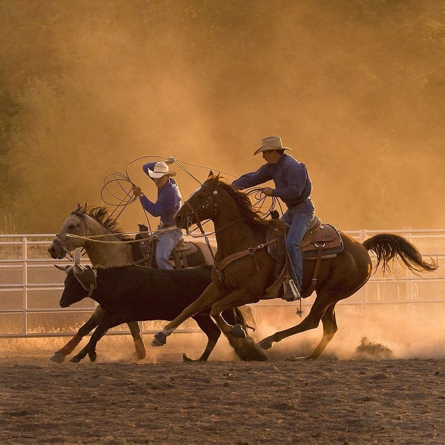 Roping on the Ranch II Poster Print by Robert Dawson-VARPDX1916 Image 1