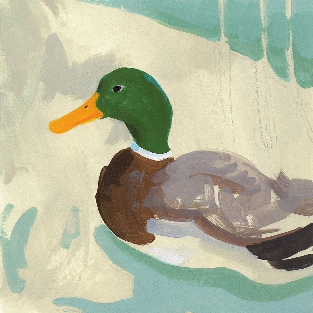 Bathing Mallard II Poster Print - Jacob Green-VARPDX195950Z Image 1