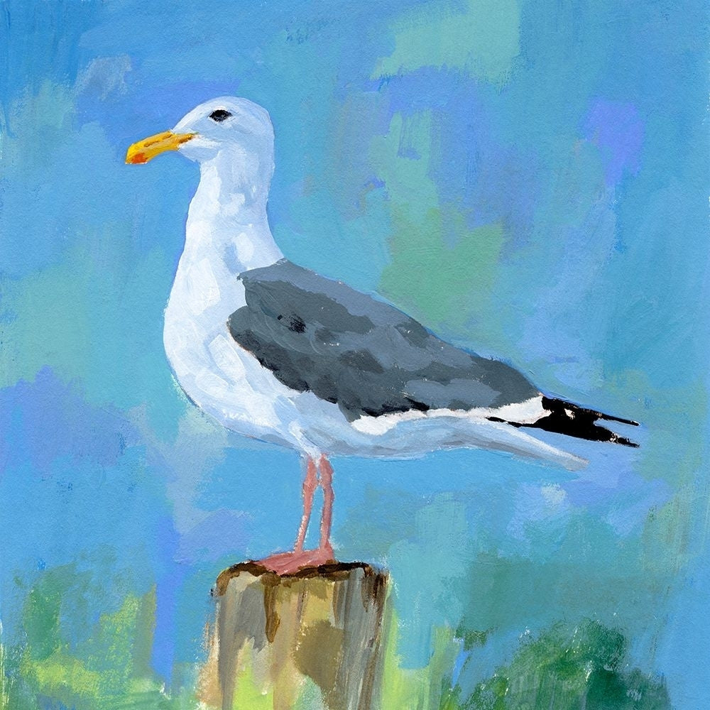 Salty Gull II Poster Print - Victoria Barnes-VARPDX203268FN Image 1