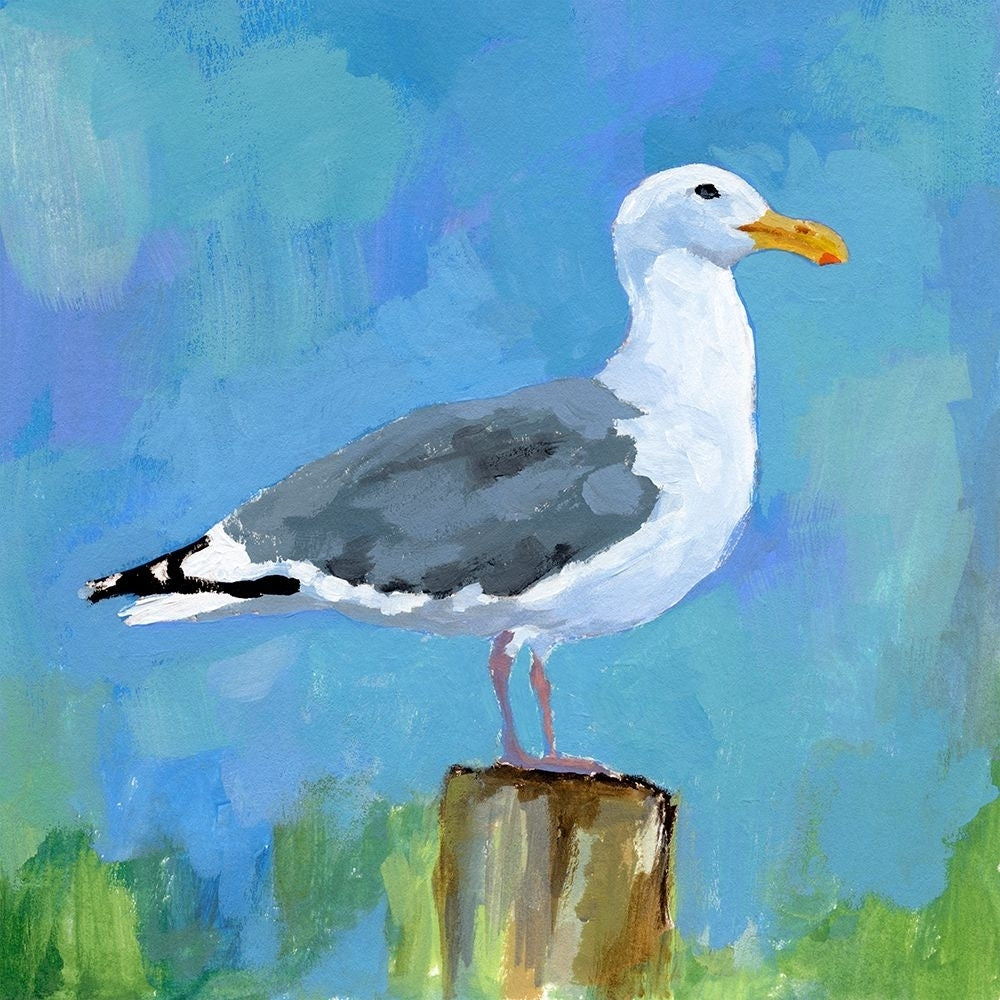 Salty Gull I Poster Print - Victoria Barnes-VARPDX203267FN Image 1