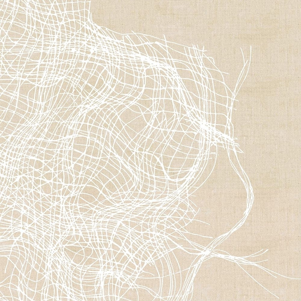 Entangled Lines II Poster Print - Karen Smith-VARPDX205653FN Image 1