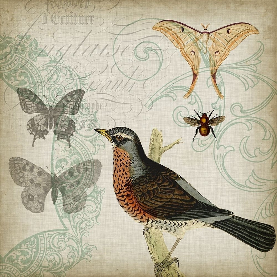 Cartouche and Wings II Poster Print - Jennifer Goldberger-VARPDX20667Z Image 1