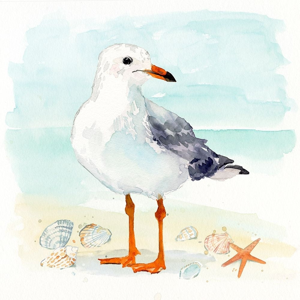 Sandy the Seagull I Poster Print - Victoria Barnes-VARPDX207058FN Image 1