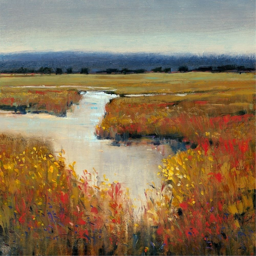 Marsh Land I Poster Print - Tim OToole-VARPDX21242Z Image 1