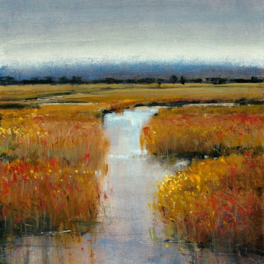 Marsh Land II Poster Print - Tim OToole-VARPDX21243Z Image 1