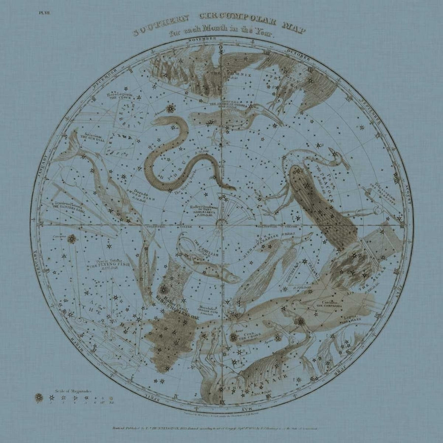 Southern Circumpolar Map Poster Print - W.G. Evans-VARPDX21533Z Image 1