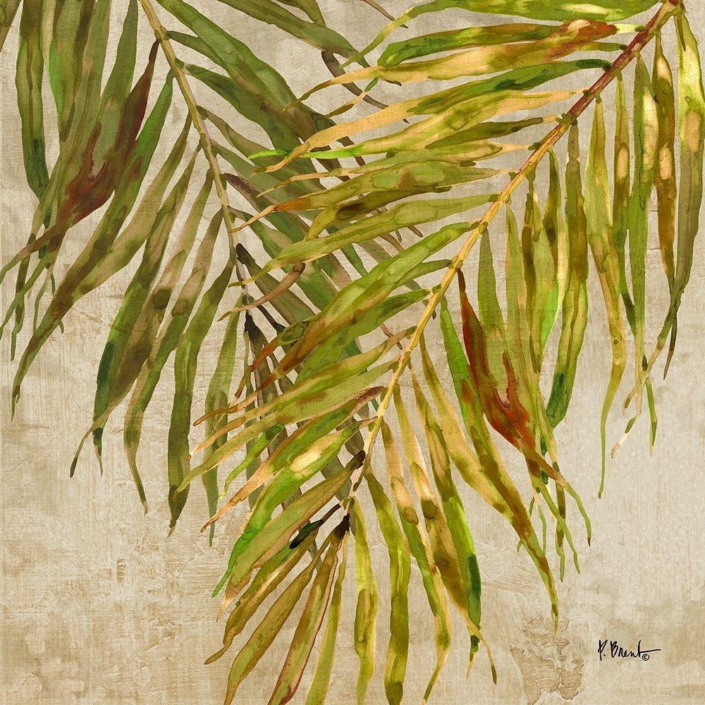 Palmdale Fronds I Poster Print - Paul Brent-VARPDX21625 Image 1