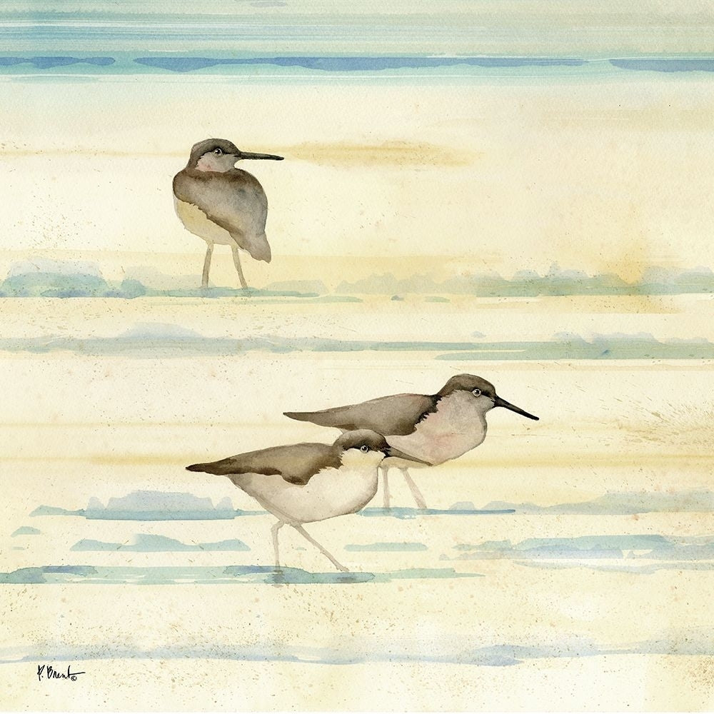 Oceanside Sandpipers I Poster Print - Paul Brent-VARPDX21673 Image 1