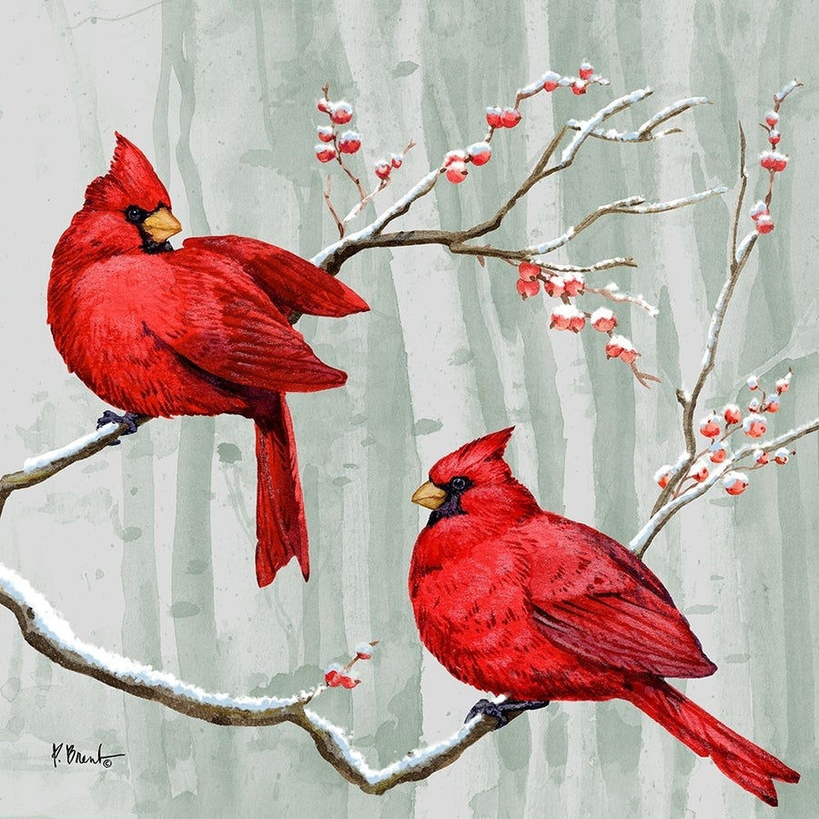 Snowy Cardinals II Poster Print - Paul Brent-VARPDX21660 Image 1