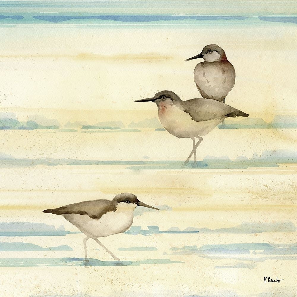 Oceanside Sandpipers II Poster Print - Paul Brent-VARPDX21674 Image 1