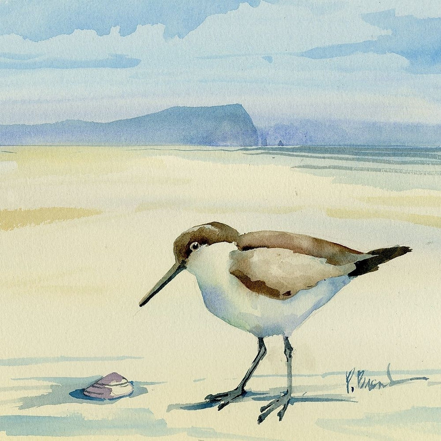 Oceanside Sandpiper and Shell Poster Print - Paul Brent-VARPDX22047 Image 1