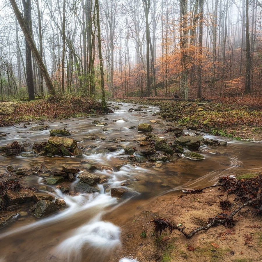 Lower Sauty Creek Poster Print - Danny Head-VARPDX226574 Image 1