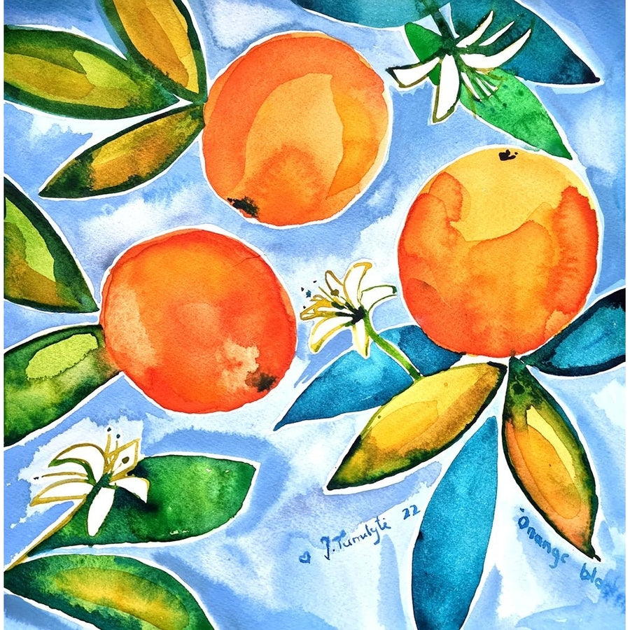 Oranges Blooming Poster Print - Julija Belickiene-VARPDX2400556 Image 1