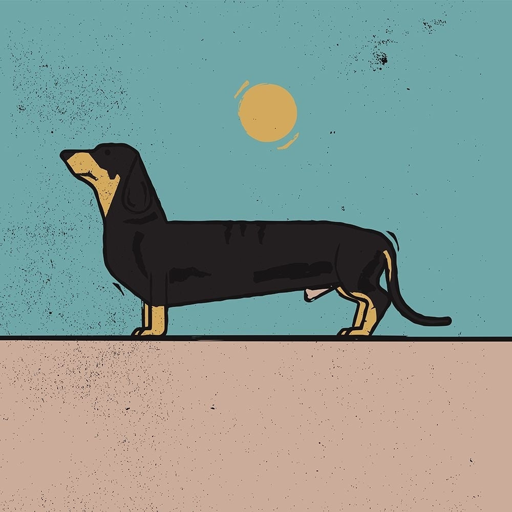 Dachshund Poster Print - Grasp Art Vision-VARPDX2580166 Image 1