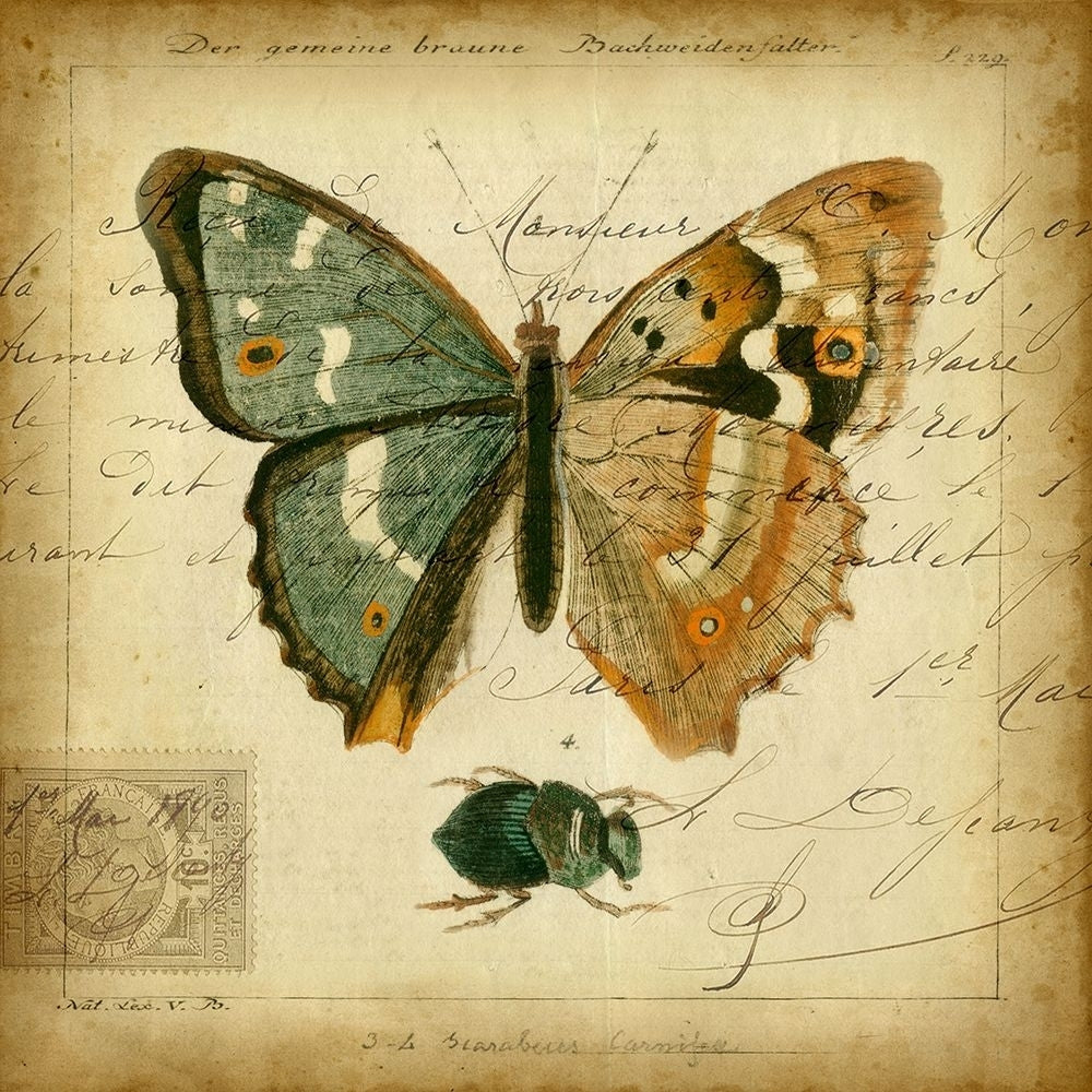 Custom Postscript Butterfly I-VARPDX28688Z Image 1