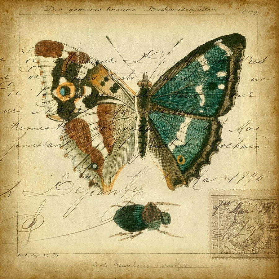 Custom Postscript Butterfly II-VARPDX28689Z Image 1