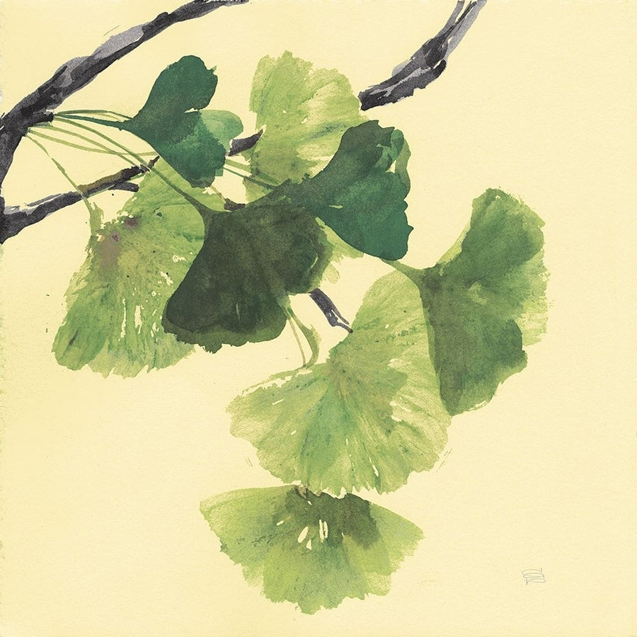 Gingko Leaves I Dark Poster Print - Chris Paschke-VARPDX31586 Image 1