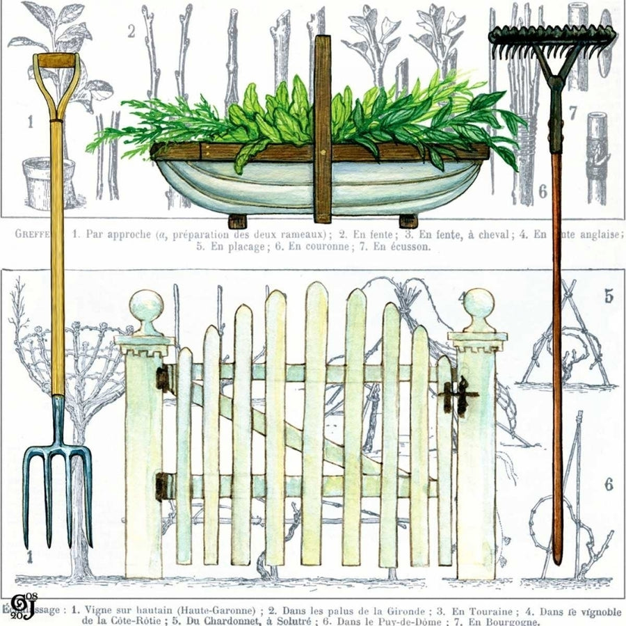 Garden Gate II Poster Print - Ginny Joyner-VARPDX34752D Image 1