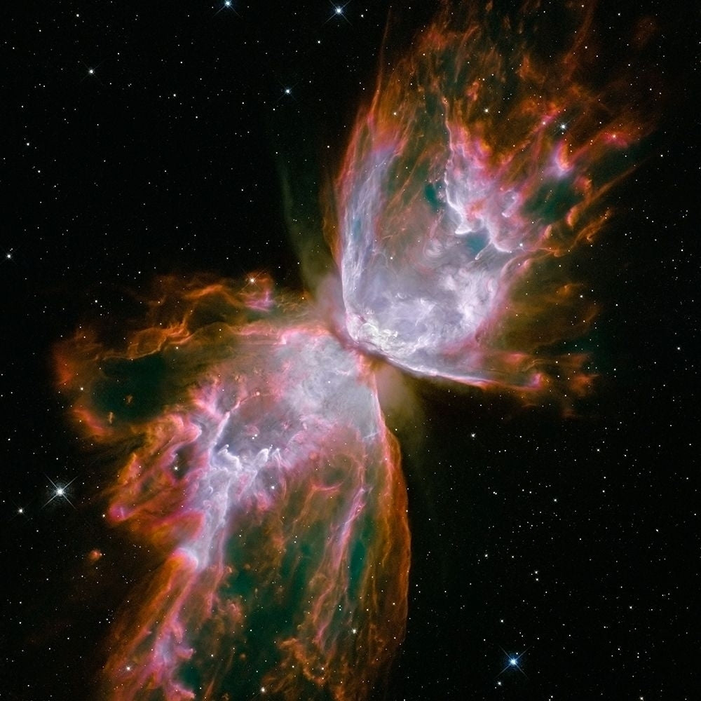 Butterfly Nebula-VARPDX394764 Image 1