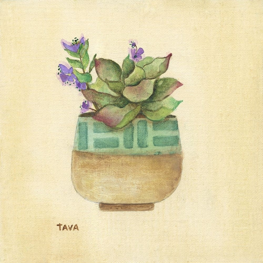 Flowering Succulent II Poster Print by Tava Studios Tava Studios-VARPDX40795 Image 1