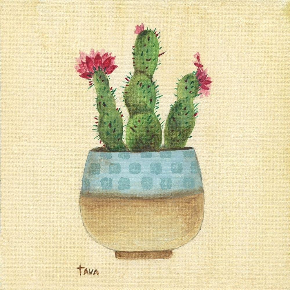 Flowering Cactus Poster Print by Tava Studios Tava Studios-VARPDX40796 Image 1